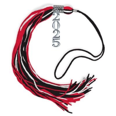 VHS 2025 Stacked Tassel - SILVER