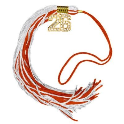 VHSN 2026 Status Tassel - GOLD