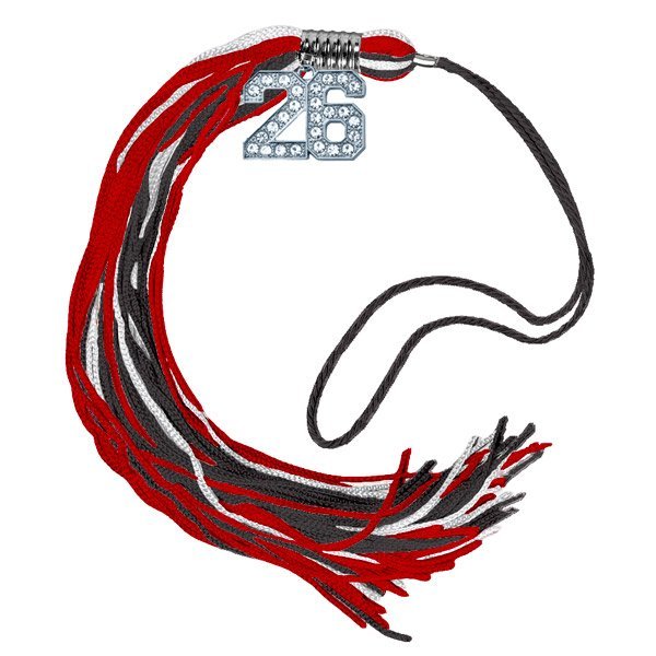 JFK 2026 Bling Tassel - SILVER