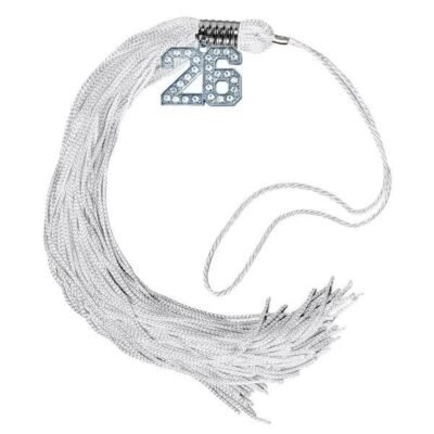 NCTT 2026 Bling Tassel - SILVER