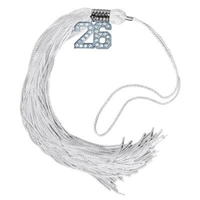 NCTT 2026 Status Tassel - SILVER