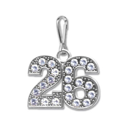 CALC 2026 Bling Zipper Pull - SILVER