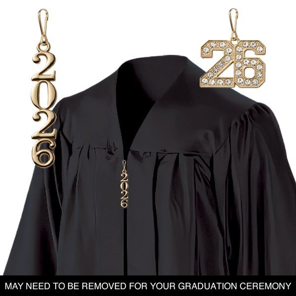 EHS 2026 Bling Zipper Pull - GOLD - Image 2