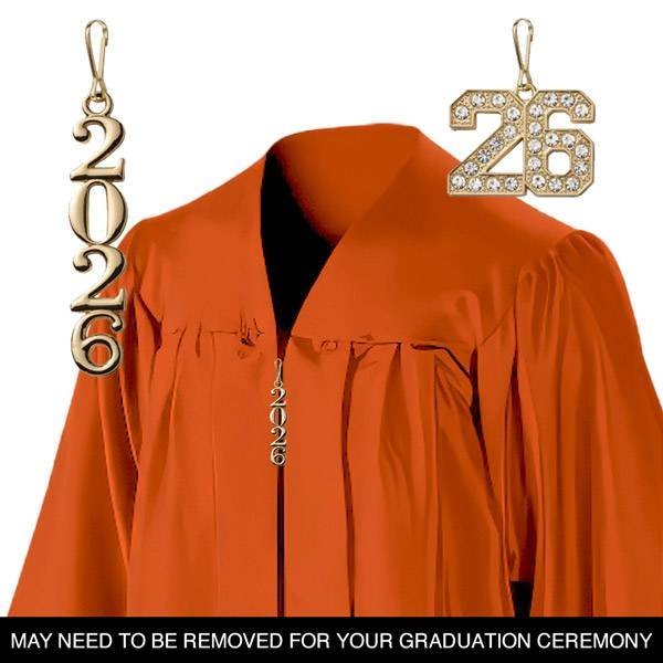VHSN 2026 Bling Zipper Pull - GOLD - Image 2