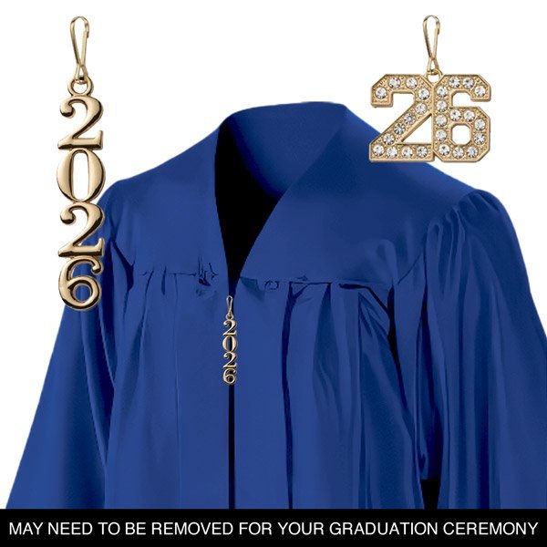 DNHS 2026 Bling Zipper Pull - GOLD - Image 2