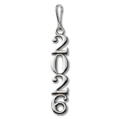 CAHS 2026 Stacked Zipper Pull - SILVER