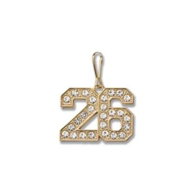 MHSB 2026 Status Zipper Pull - GOLD