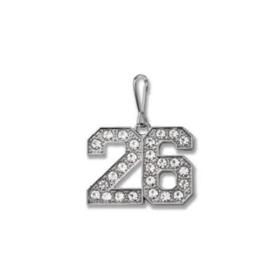CAHS 2026 Status Zipper Pull - SILVER