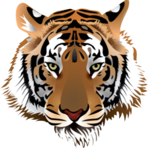 Ivy High School Calvin Christian High School Crusaders Mascot Logo